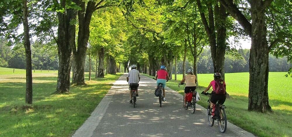 Radtour auf Radweg Radfahrer auf Radweg im Grünen